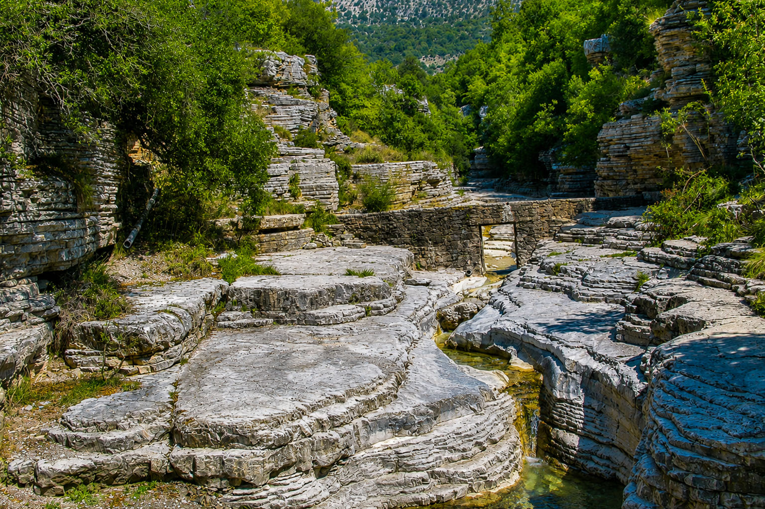 kolympithres_zagori