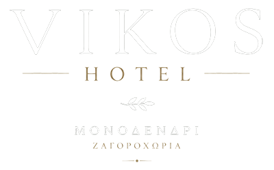 Vikos Hotel