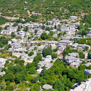 monodendri_img
