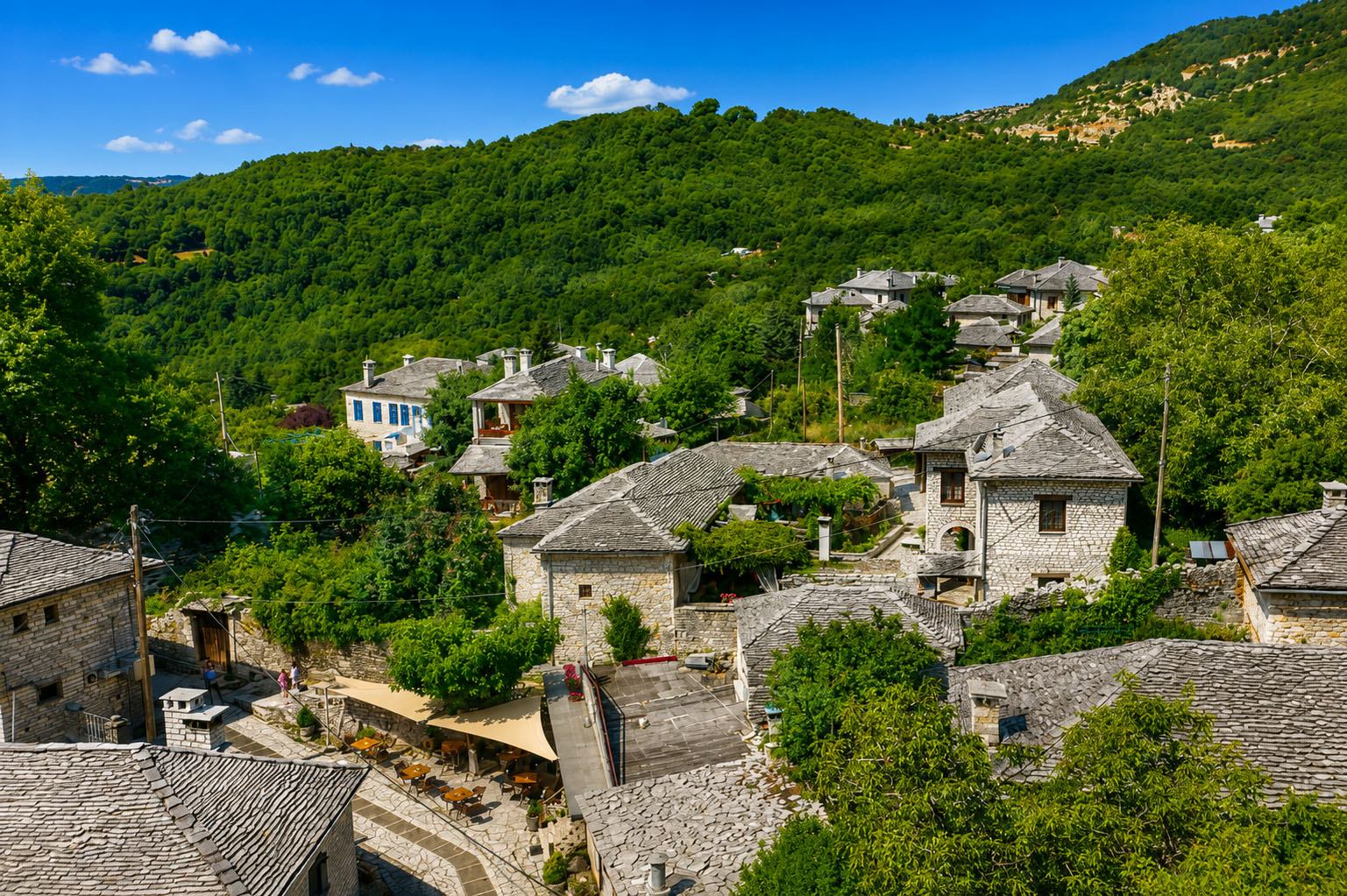 monodendri_zagori02_22