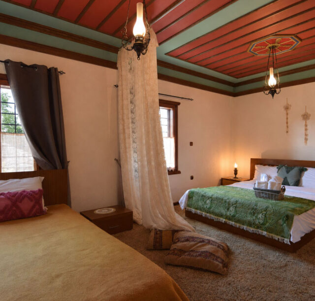 vikoshotel01